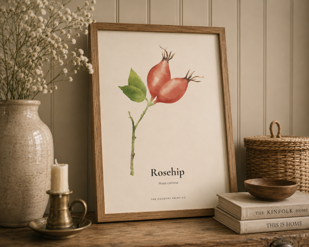 Rosehip| Digital Download
