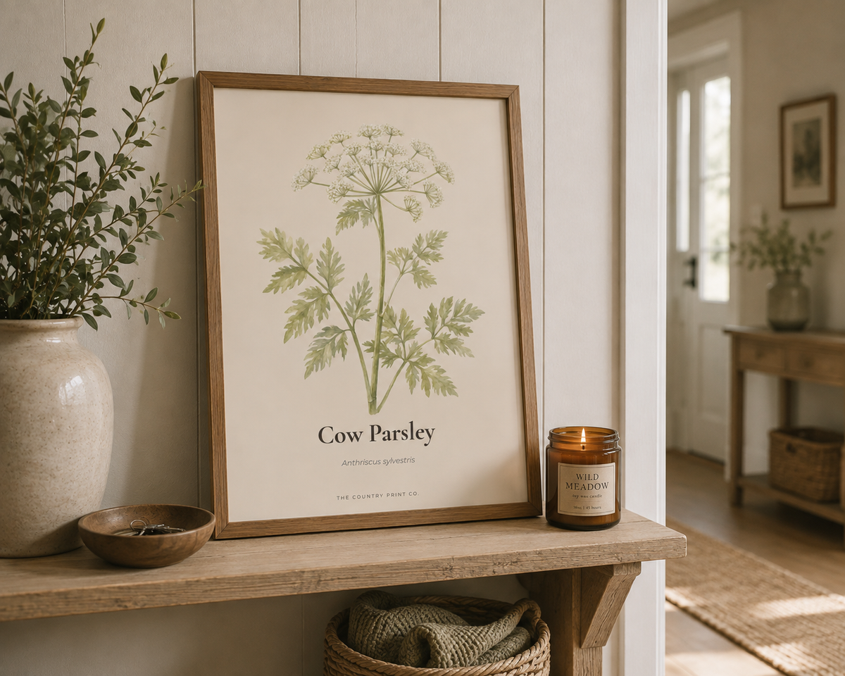 Cow Parsley | Fine Art Print