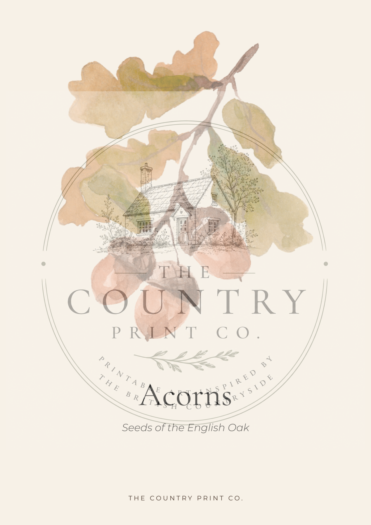 Acorns | Fine Art Print