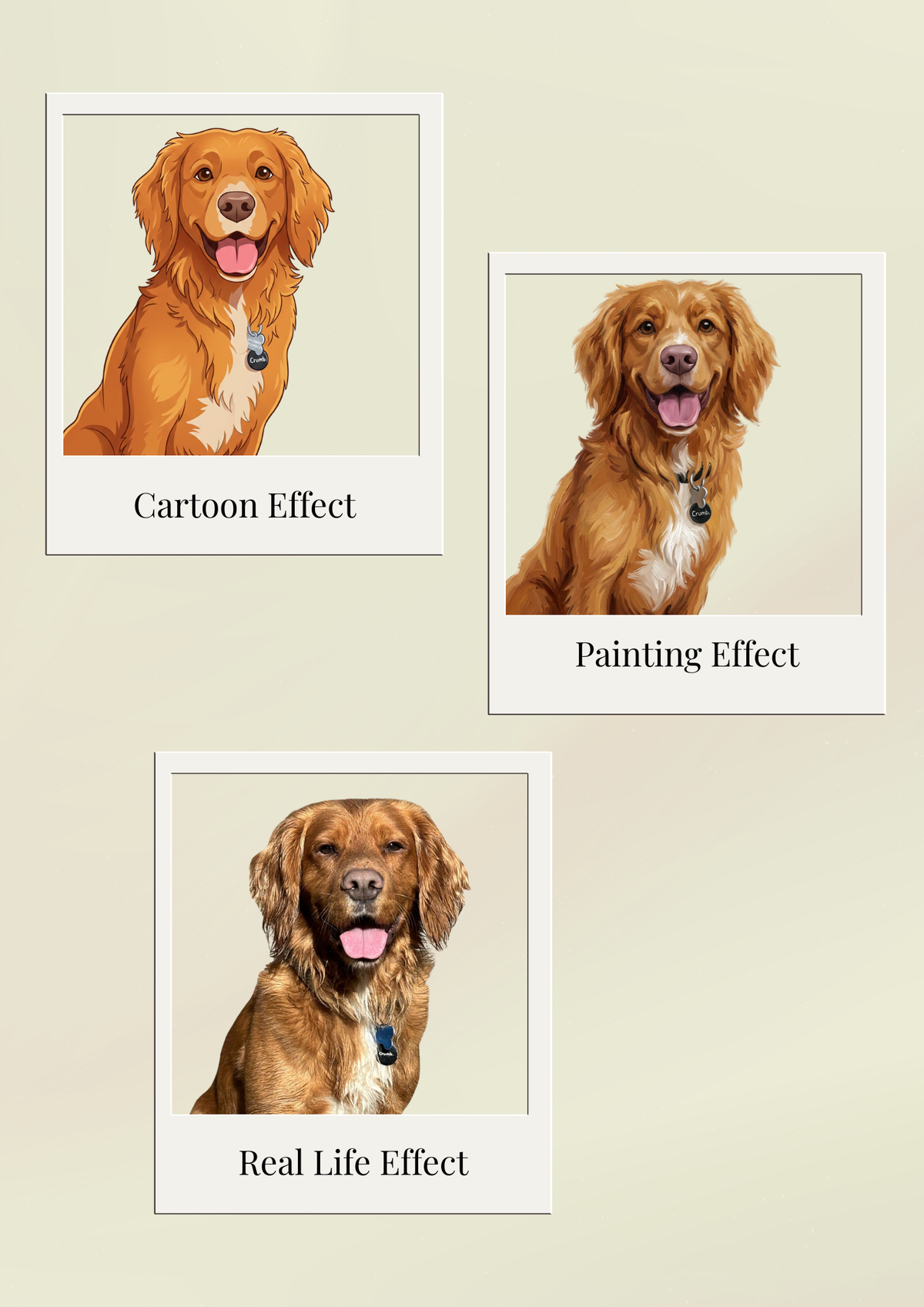 Personalised Pet Portrait | Digital Download