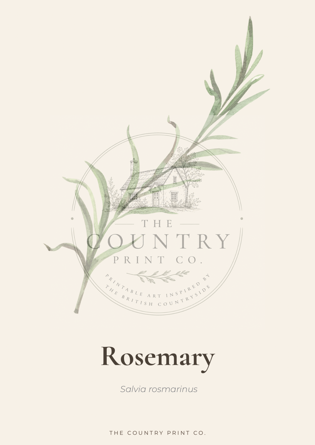Rosemary| Digital Download