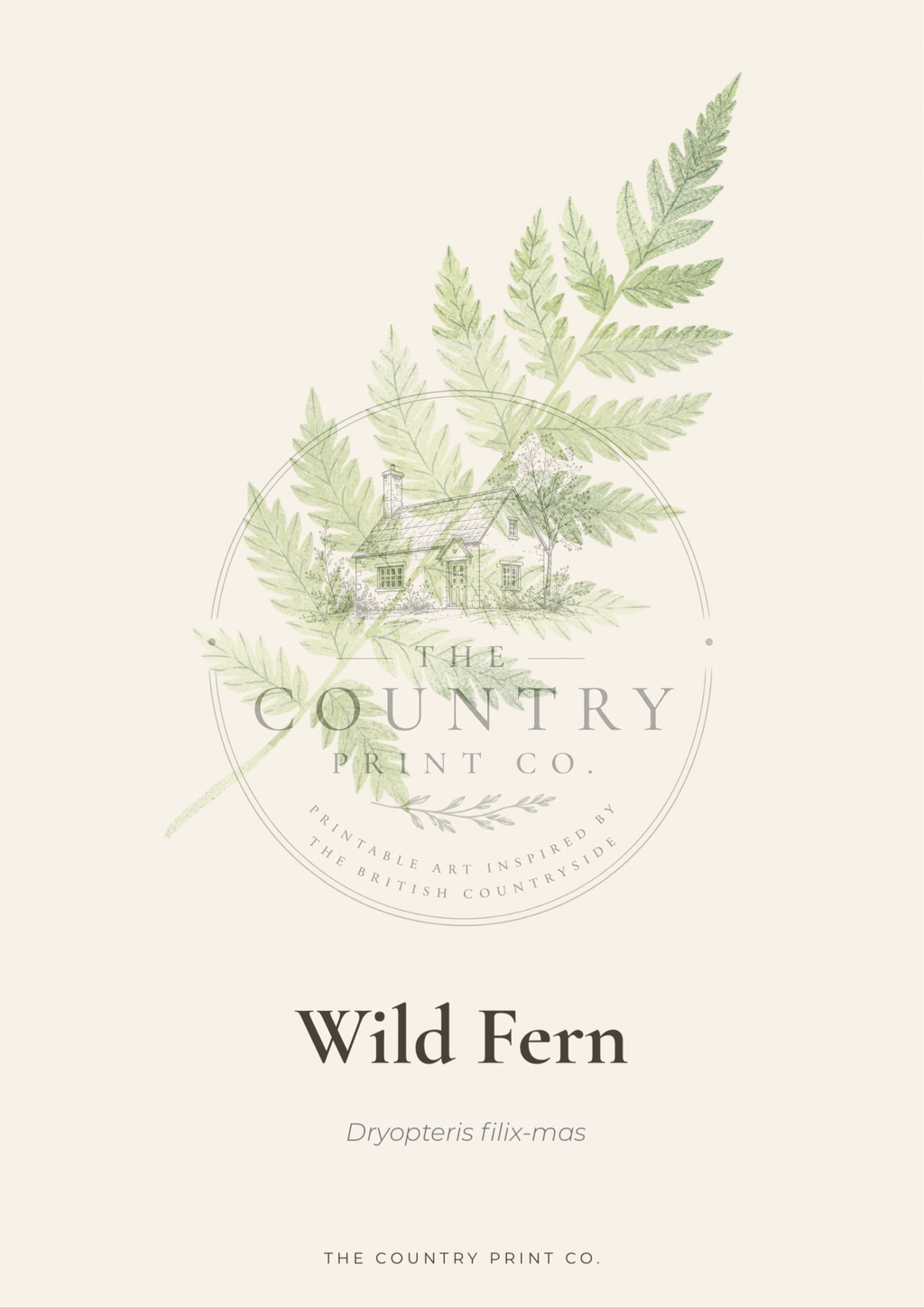 Wild Fern| Digital Download