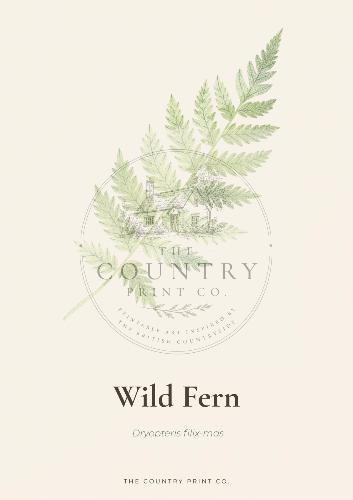 Wild Fern| Digital Download