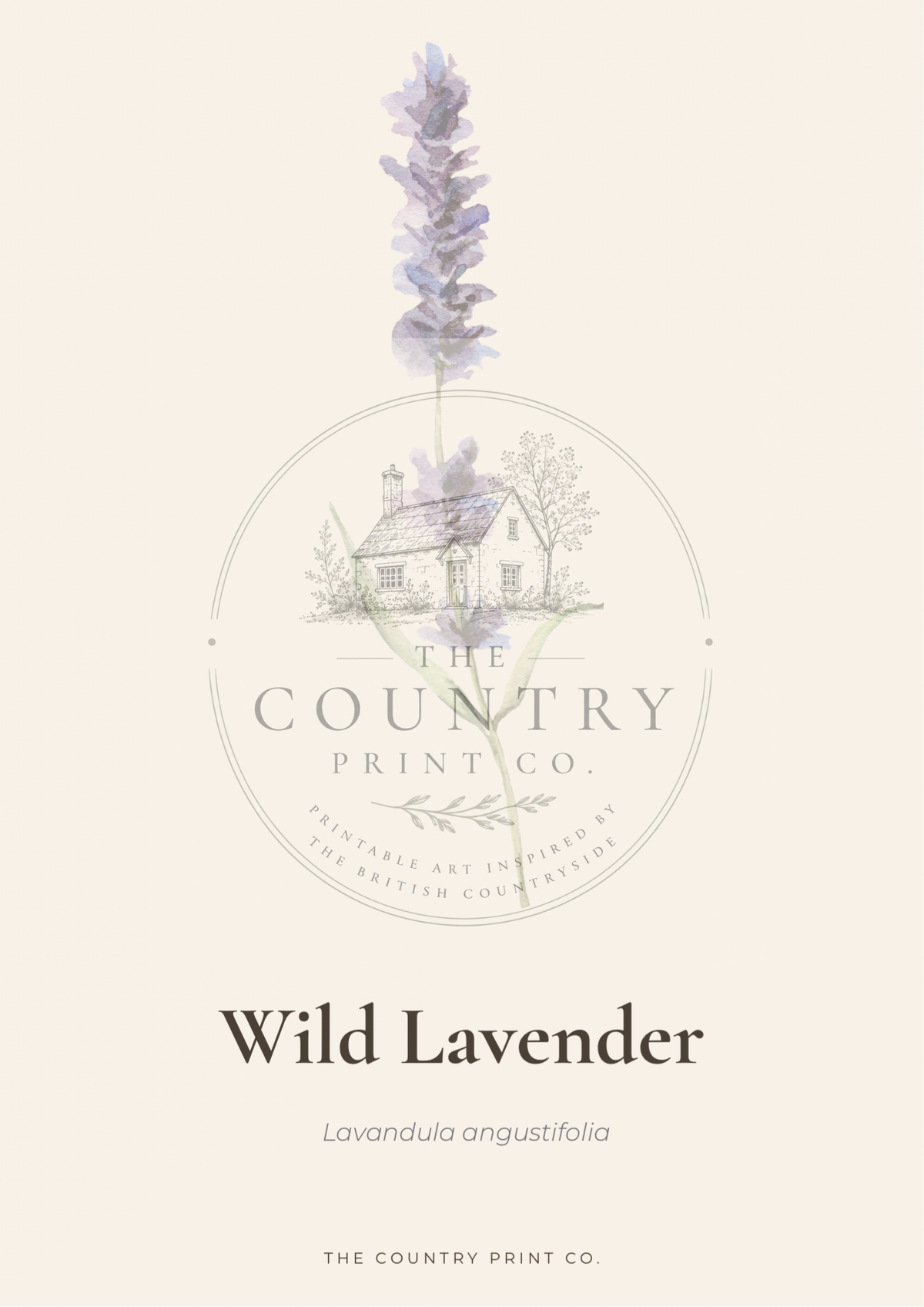 Wild Lavender | Digital Download