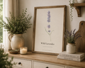 Wild Lavender | Fine Art Print