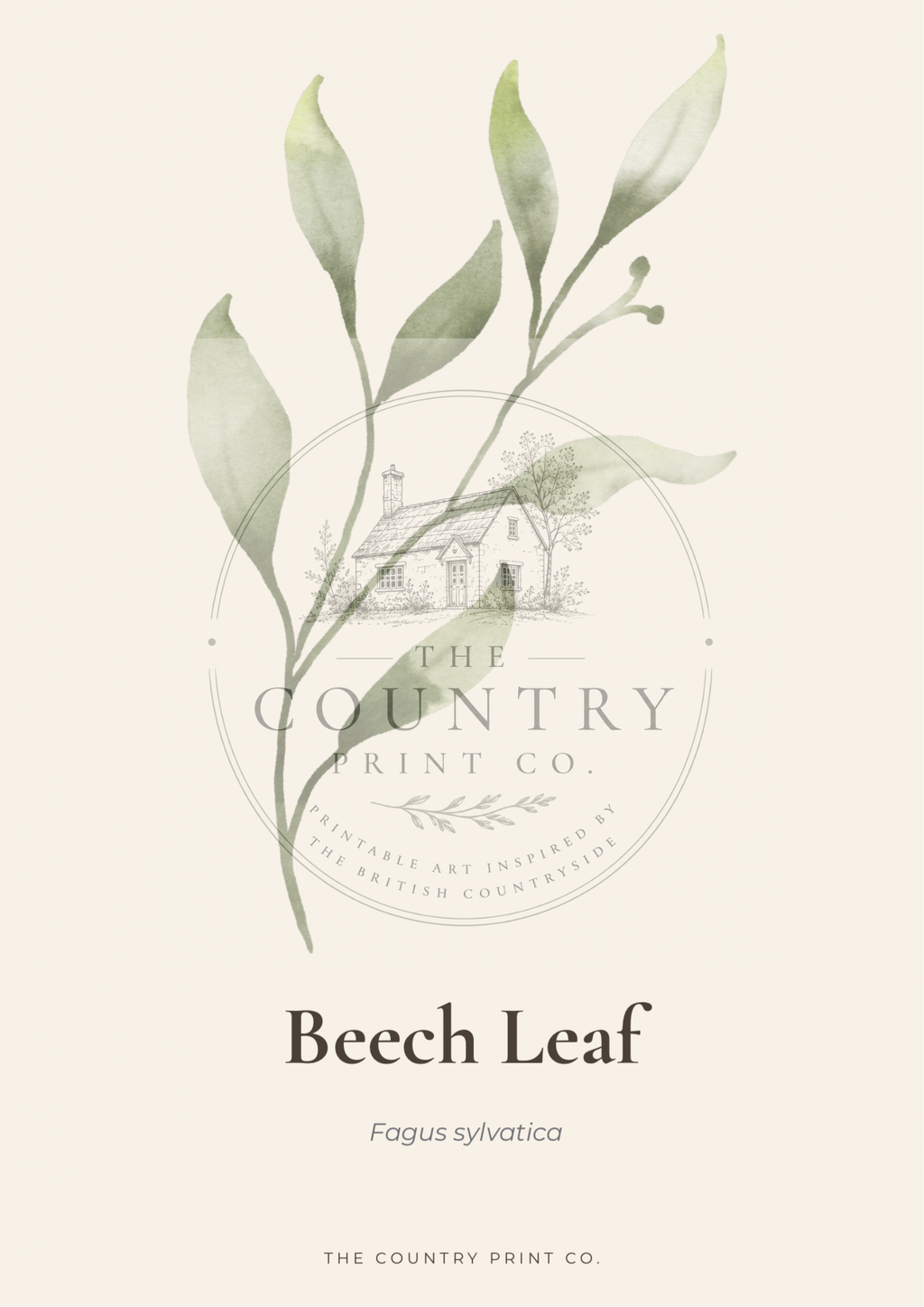 Beech Leaf| Digital Download