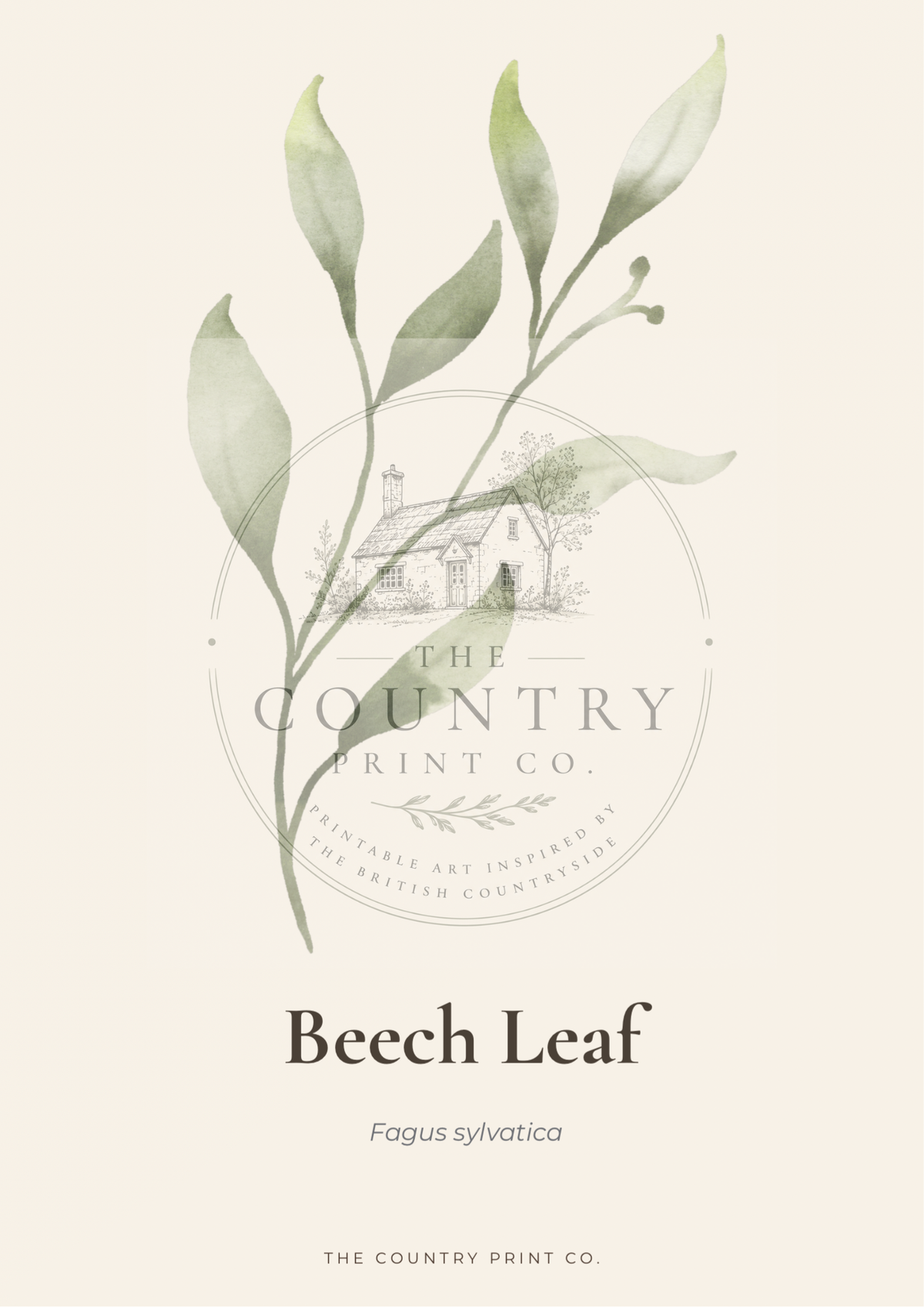 Beech Leaf| Digital Download