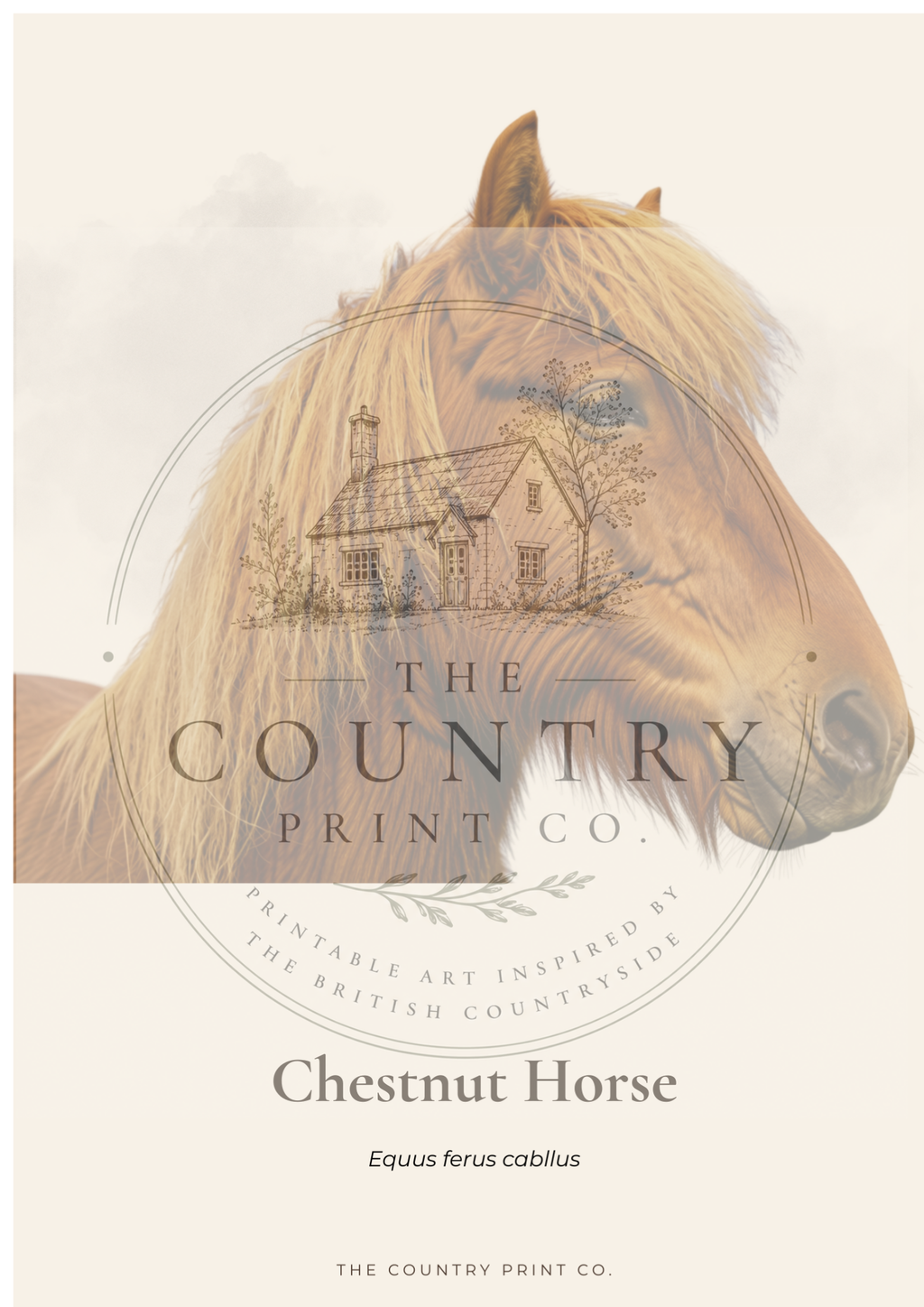 Chestnut Horse| Fine Art Print