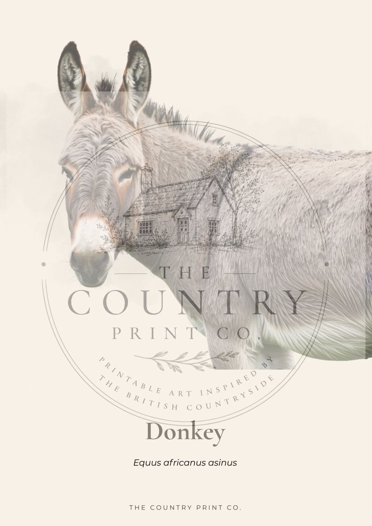 Donkey | Digital Download