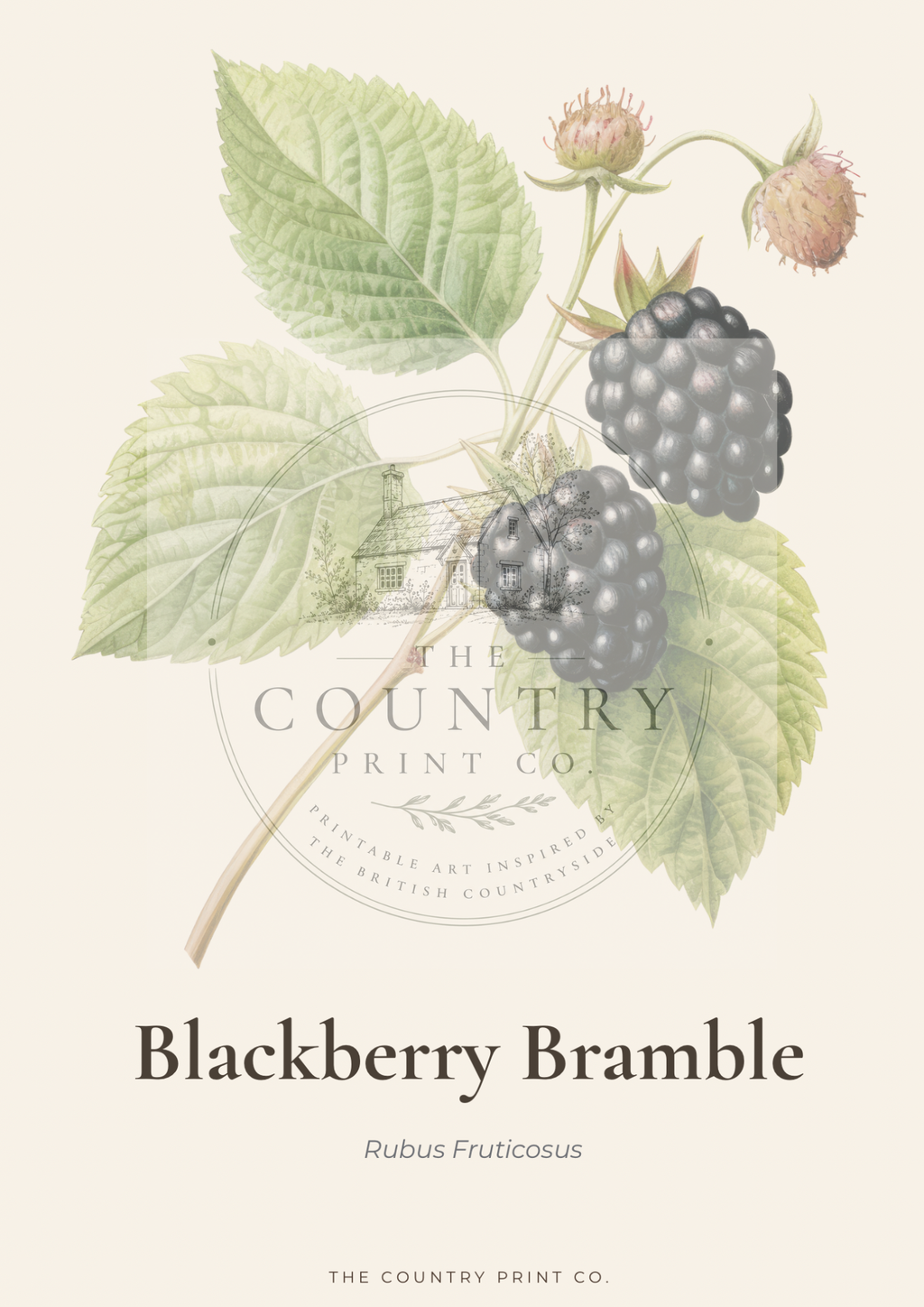 Blackberry Bramble| Digital Download