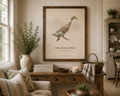 Indian Runner Duck| Digital Download