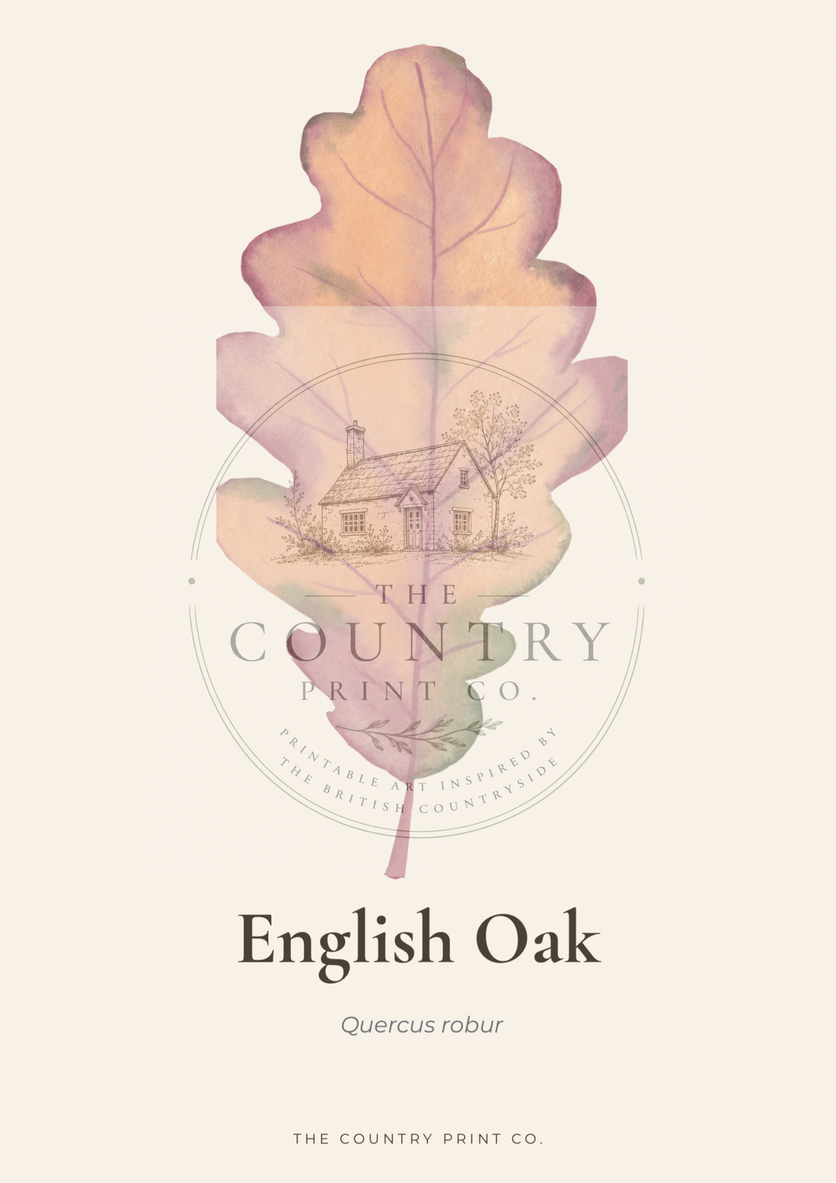 English Oak | Digital Download