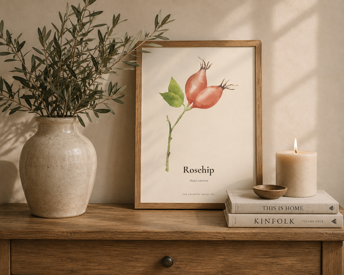 Rosehip| Digital Download