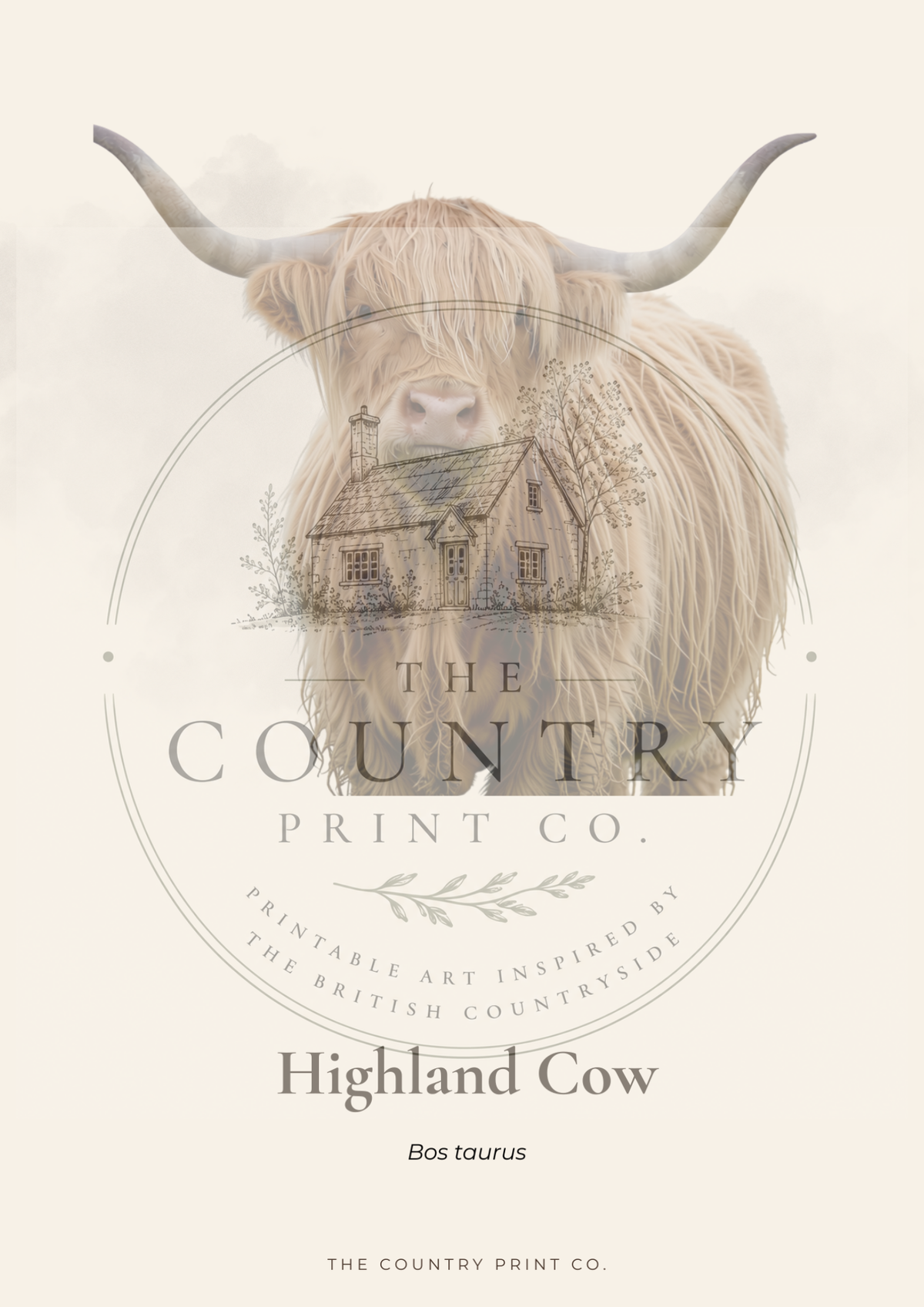 Highland Cow | Fine Art Print