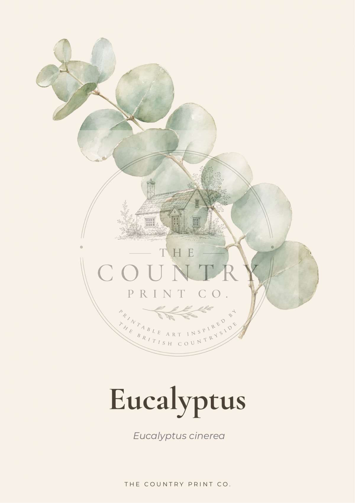Eucalyptus| Digital Download