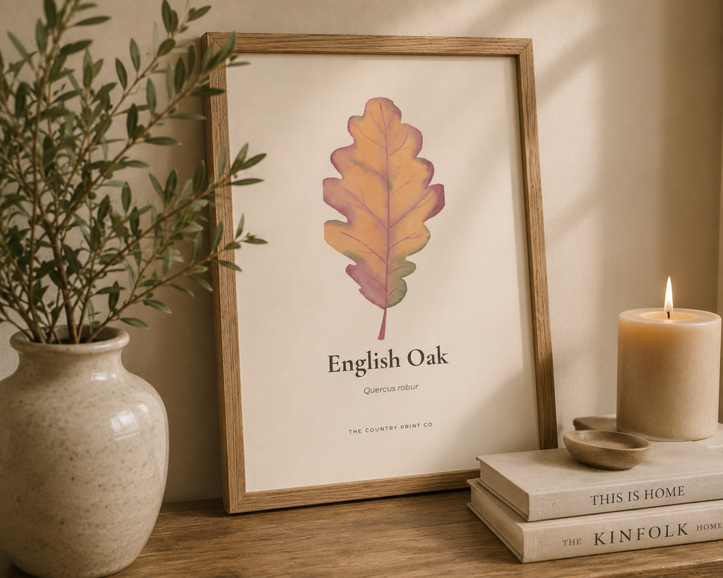 English Oak | Digital Download
