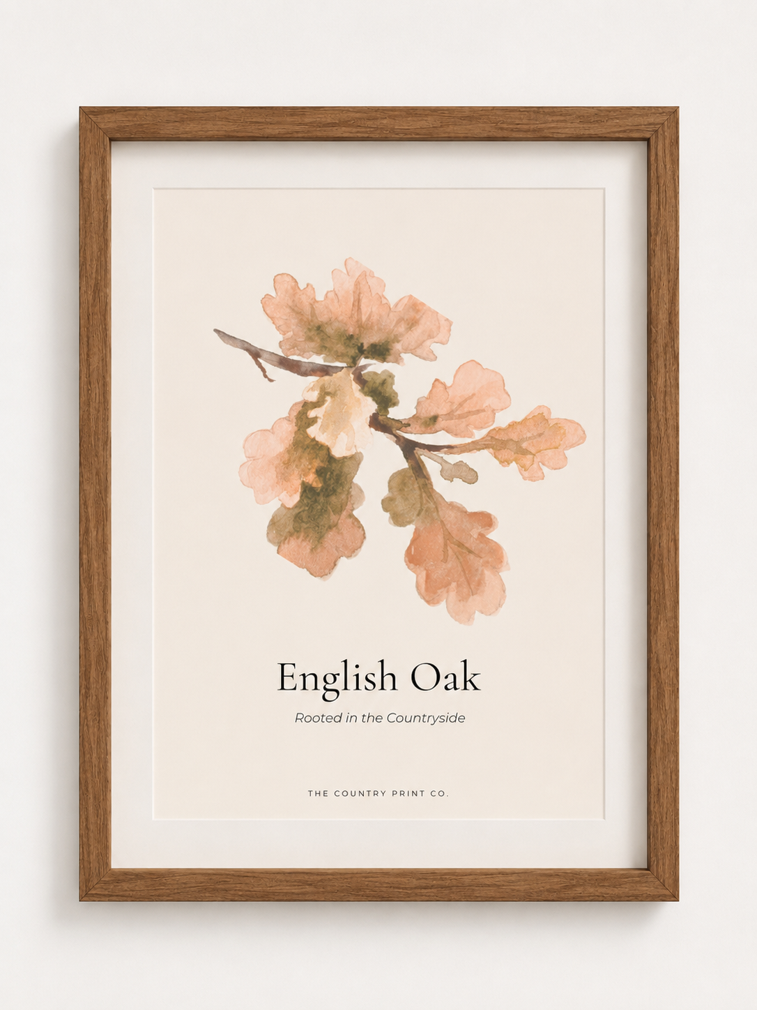 English Oak | Fine Art Print