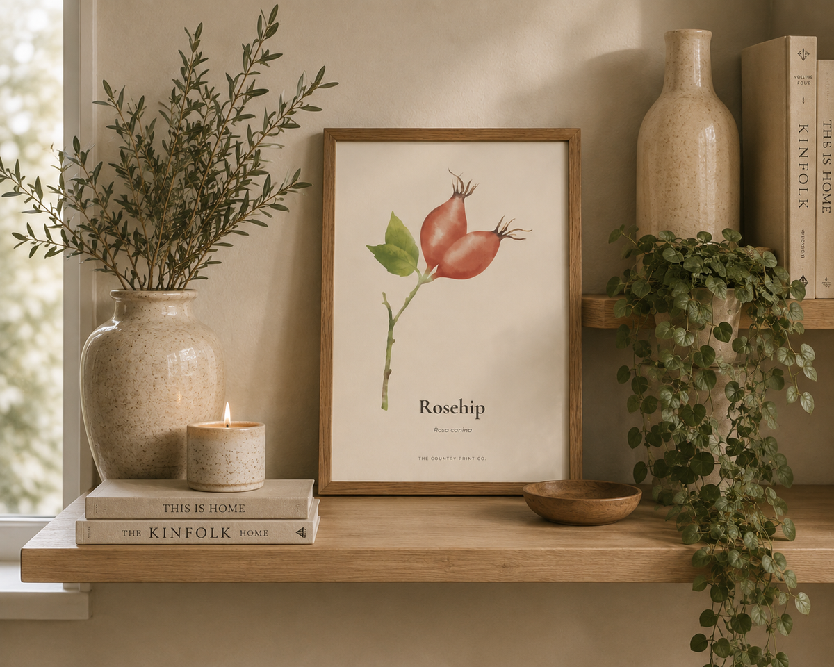 Rosehip| Digital Download