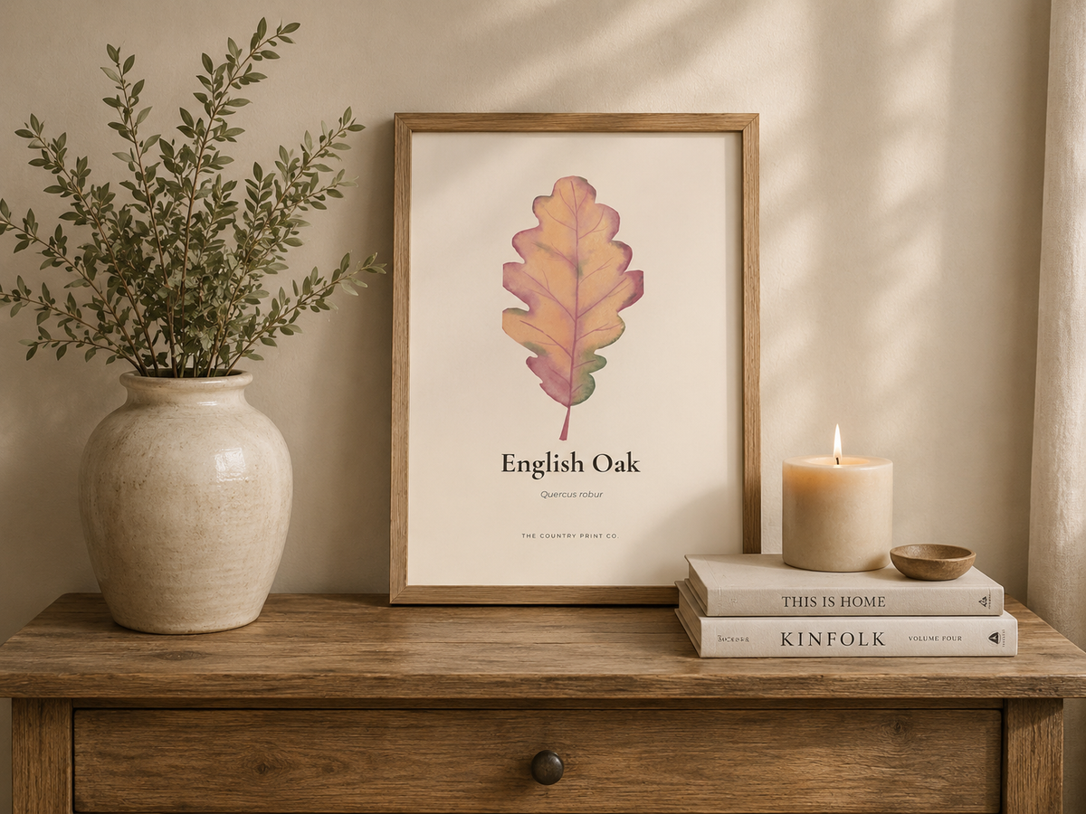 English Oak | Digital Download