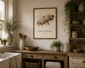 Gloucester Old Spot Pig | Digital Download